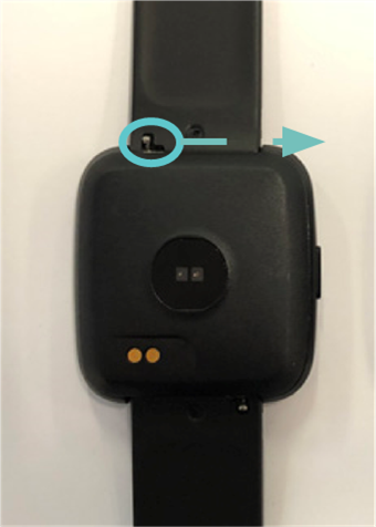 Zamenjava pa&scaron;čkov