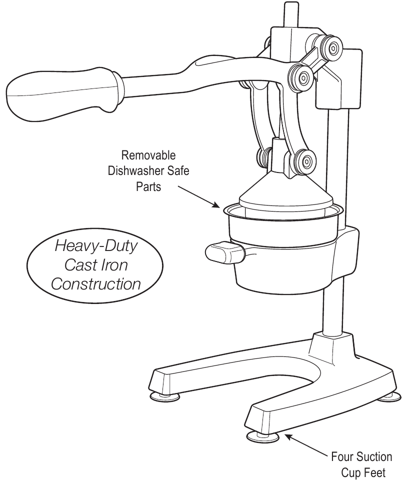 Prezentare generală