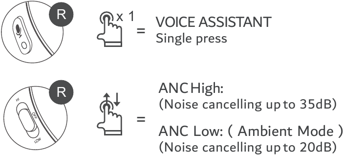 Hangasszisztens &eacute;s ANC