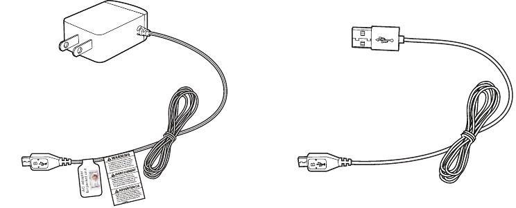 Qutida nima bor - Umumiy ko'rinish - 2-qism