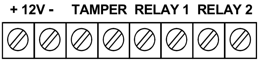 COLLEGAMENTO ALLA MORSETTIERA
