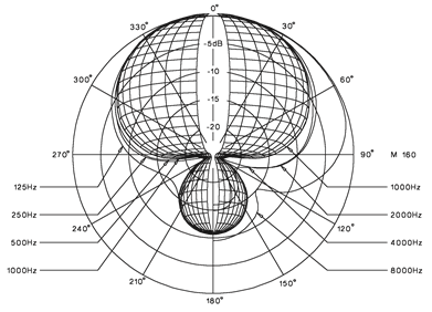 Pol&aacute;ris minta