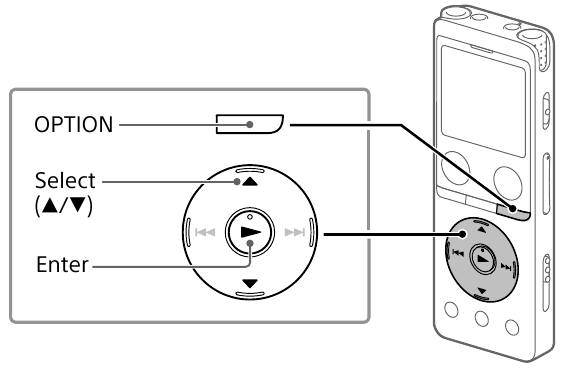 OPTION мәзірін пайдалану