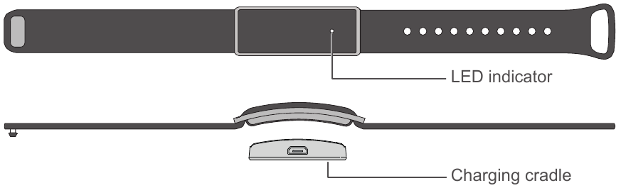 Getting to know your Band