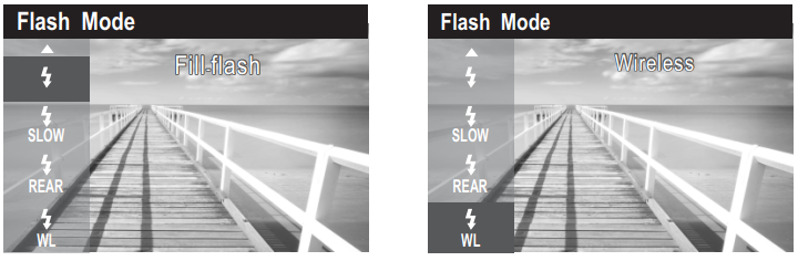 Einstellen der Kamera