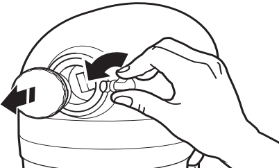 Pasirinktiniai priedai - 2 žingsnis