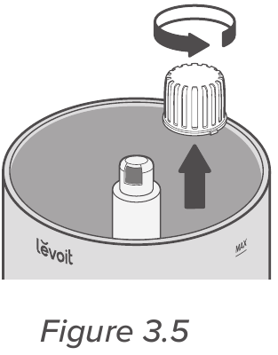 Remove the water filter from the tank