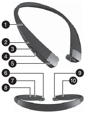 FUNKCI&Oacute; LE&Iacute;R&Aacute;SA - JELLEMZŐK