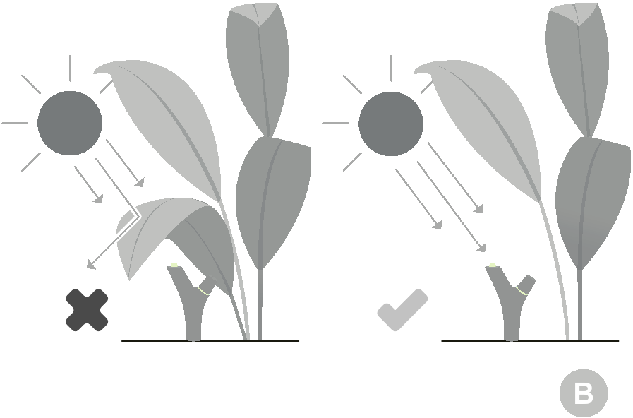 Vyberte um&iacute;stěn&iacute; 