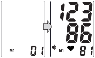 Memory Function - DIsplaying the memory cells