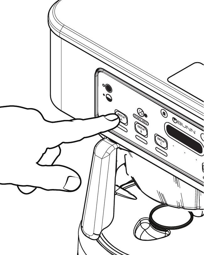 Preparaci&oacute;n del Caf&eacute; - Paso 11