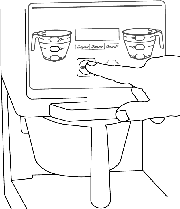 Preparaci&oacute;n del Caf&eacute; - Paso 5