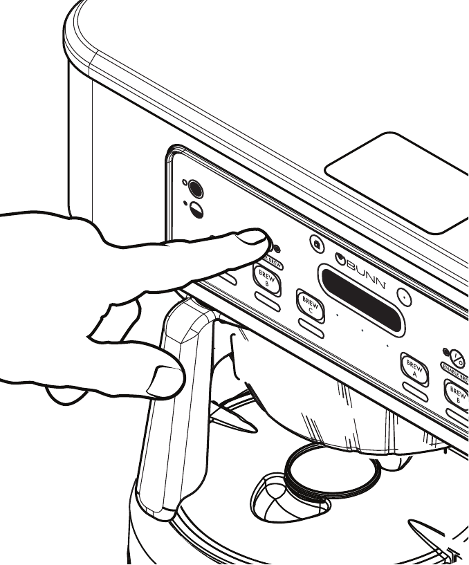 Preparaci&oacute;n del Caf&eacute; - Paso 9