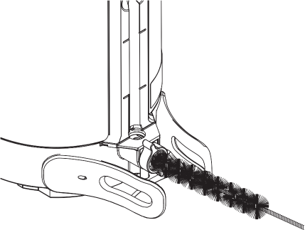 Limpieza del Servidor - Paso 1