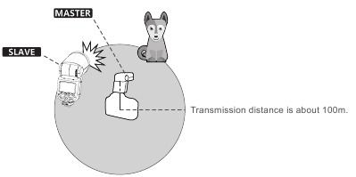 Autoblitz-Aufnahme mit einer Slave-Einheit