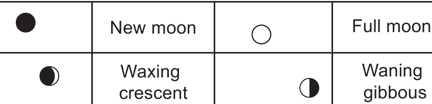 M&Aring;NEFASE - Del 1
