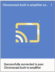 Schermata di conferma dispositivo nell'app Google Home