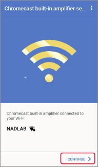 Schermata di conferma connessione riuscita nell'app Google Home
