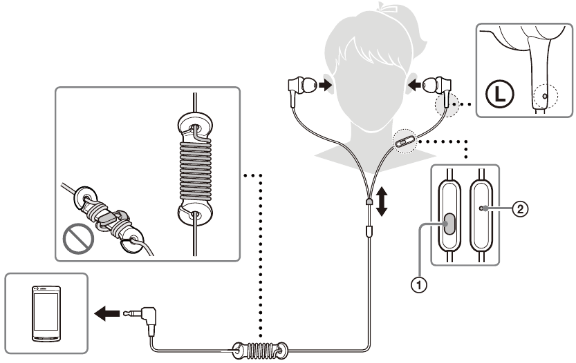 Features and Connections