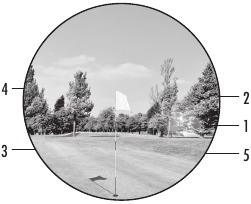 INDICATORI ECRAN VIVID DISPLAY