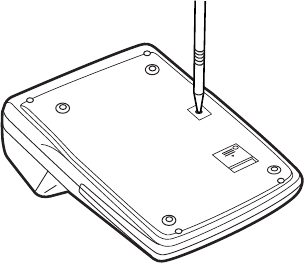 RIPRISTINO DELL'UNIT&Agrave;