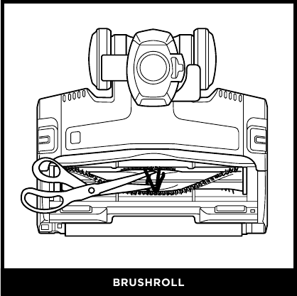 LIMPIEZA DE LOS CEPILLOS GIRATORIOS