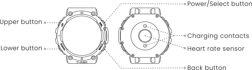 Относно часовника