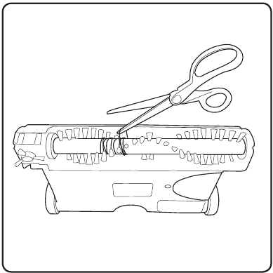 &Kappa;&alpha;&theta;&alpha;&rho;&iota;&sigma;&mu;ό&sigmaf; &tau;&eta;&sigmaf; &rho;ά&beta;&delta;&omicron;&upsilon; &beta;&omicron;ύ&rho;&tau;&sigma;&alpha;&sigmaf;