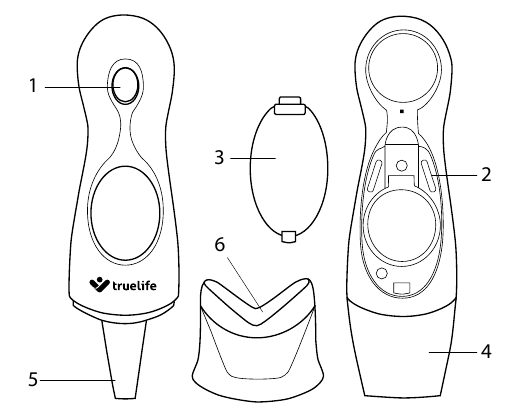 Device Layout