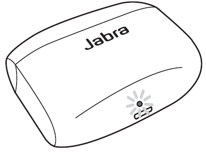 ESTADO DEL ESTUCHE DE CARGA