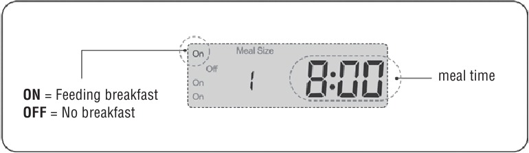 ТАҢҒЫ АСТЫ ОРНАТУ