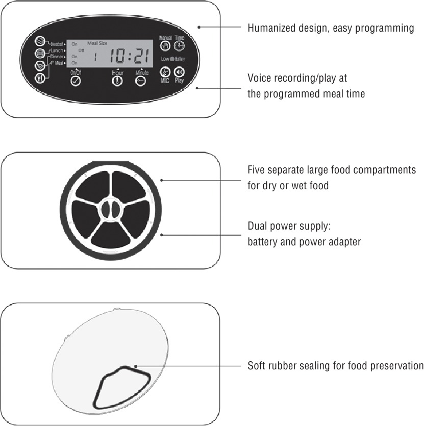 НЕГІЗГІ ЕРЕКШЕЛІКТЕРІ