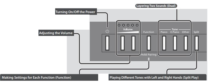 OVERVIEW OF THE PANEL
