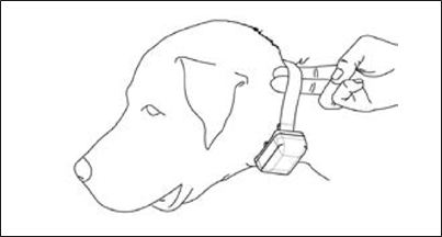 Qabul qilgichni o'rnatish