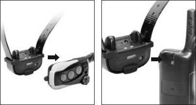 TRENING TIZIMINI TUSHUNISH