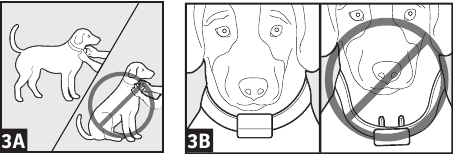 AJUSTAR EL COLLAR RECEPTOR