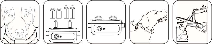 Cum să purtați corect zgarda receptorului