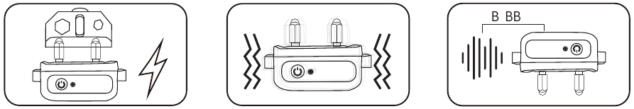 Testați sistemul de antrenament