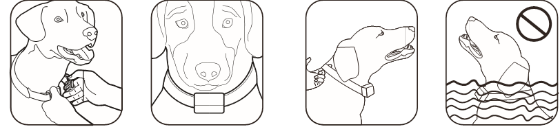 C&Acirc;ND UTILIZAȚI ZGARDA DE DRESAJ PENTRU C&Acirc;INI