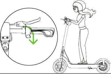Riding Basics - Step 1