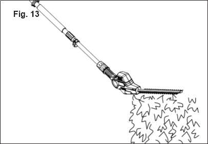 Using the Pole Hedge Trimmer - Step 2