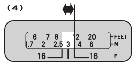 SCHERPTEDIEPTESCHAAL