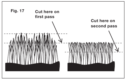 El c&eacute;sped alto requiere un corte incremental