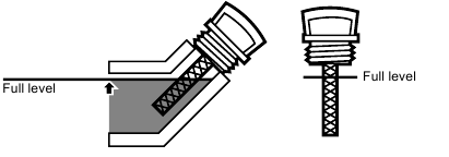 Mudan&ccedil;a do &Oacute;leo do Motor