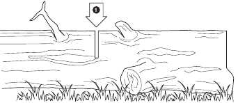 Rezanje trupca na dužinu - Primjer 1