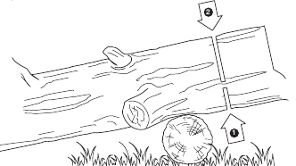 Rezanje trupca na dužinu - Primjer 2