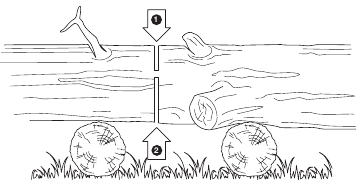 Rezanje trupca na dužinu - Primjer 3