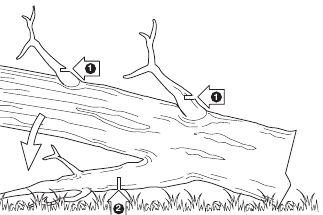 Tehnike rezanja - Kresanje stabla