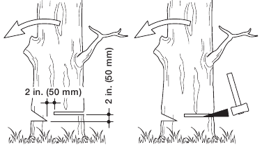 Tehnike rezanja - Zarezni podrez