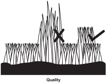 Sigurimi i nj&euml; prerjeje t&euml; past&euml;r - Cil&euml;sia e prerjes